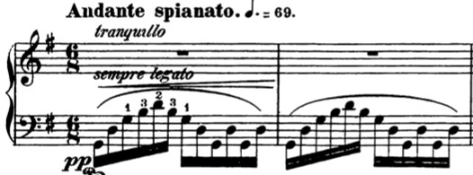 Chopin Andante spinato