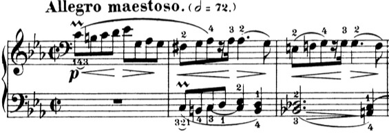 Chopin Sonata no.1 1st mov.