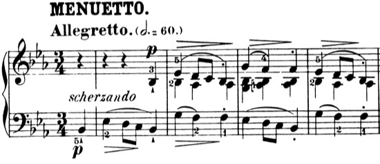Chopin Sonata no.1 2nd mov.