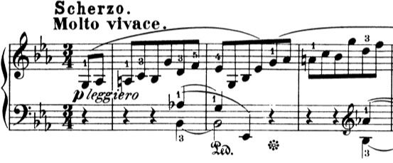 Chopin Sonata no.3 mov.2