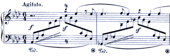 Schumann Carnaval Op. 9-12