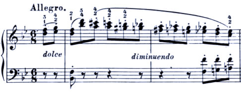 Schumann Etudes after Paganini Op. 3-4
